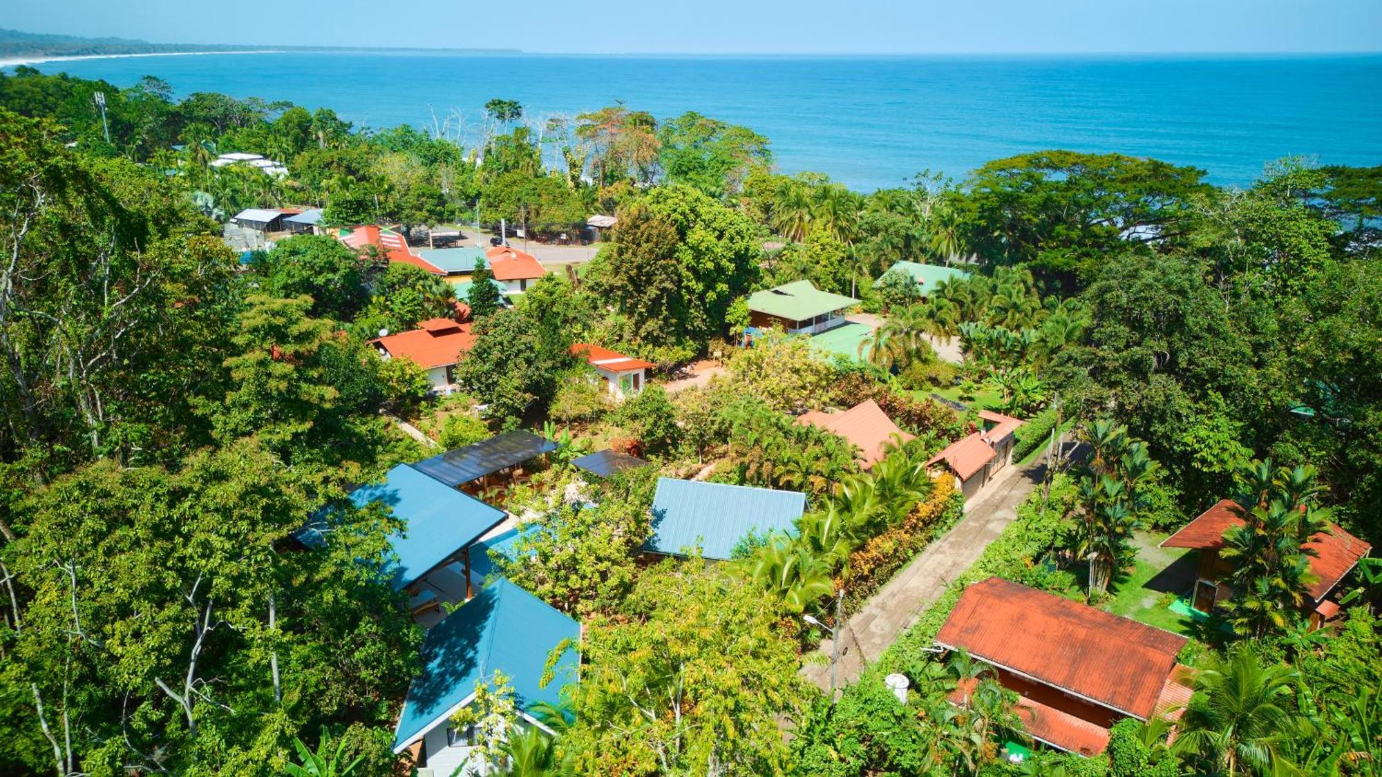Casa Coki - Modern Villa Pool Steps From The Beach Puerto Viejo de Talamanca 外观 照片