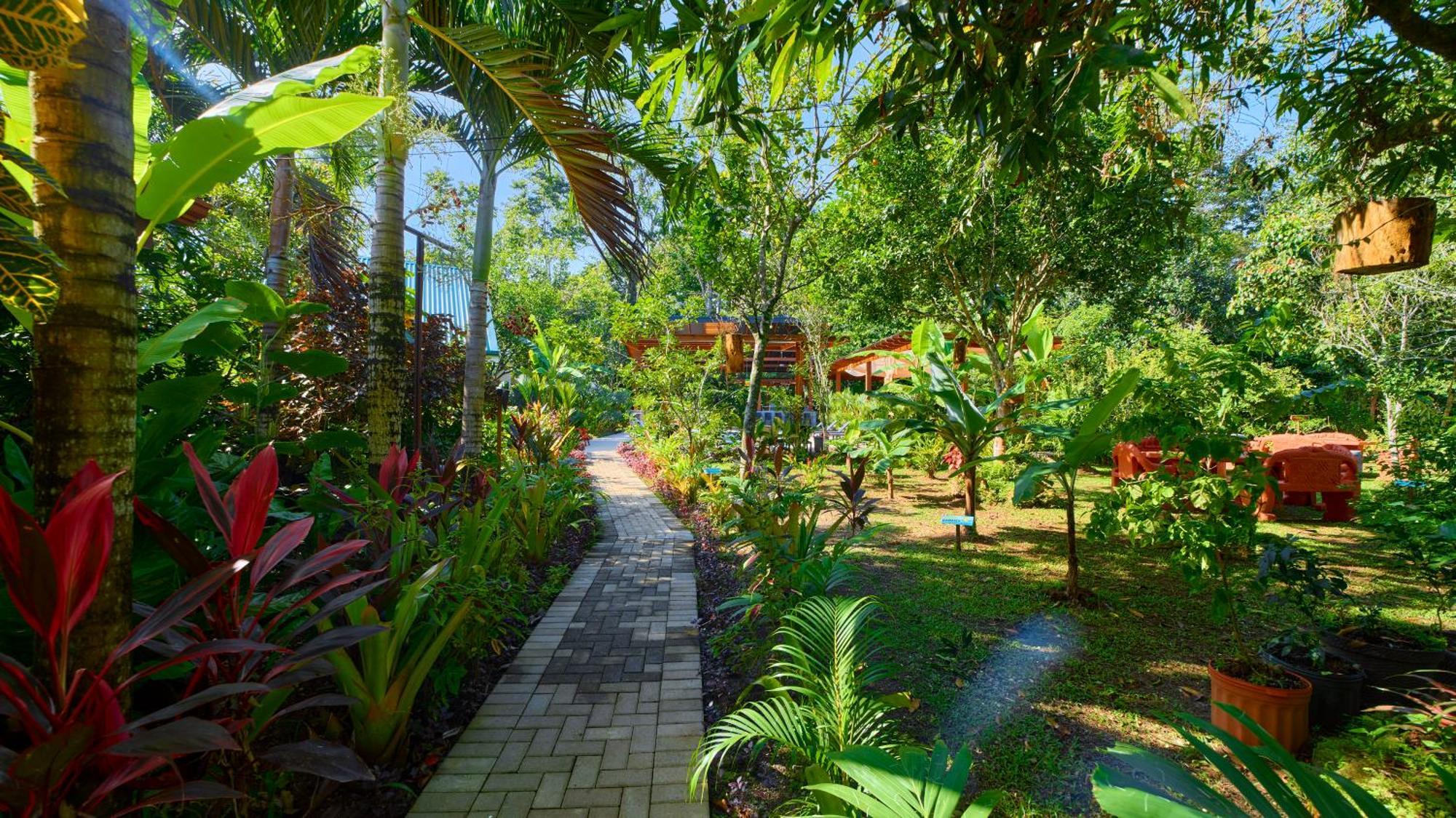 Casa Coki - Modern Villa Pool Steps From The Beach Puerto Viejo de Talamanca 外观 照片