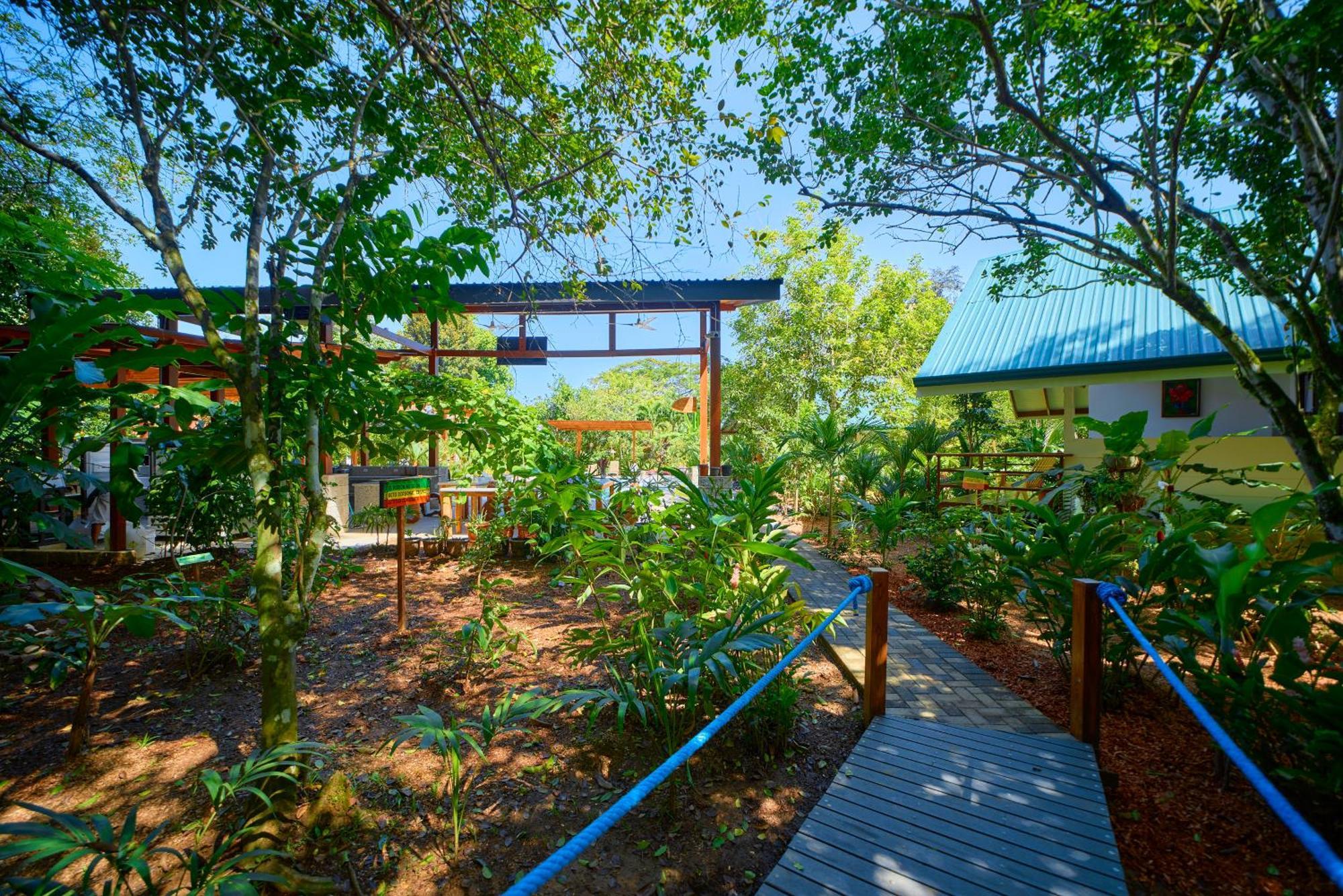 Casa Coki - Modern Villa Pool Steps From The Beach Puerto Viejo de Talamanca 外观 照片